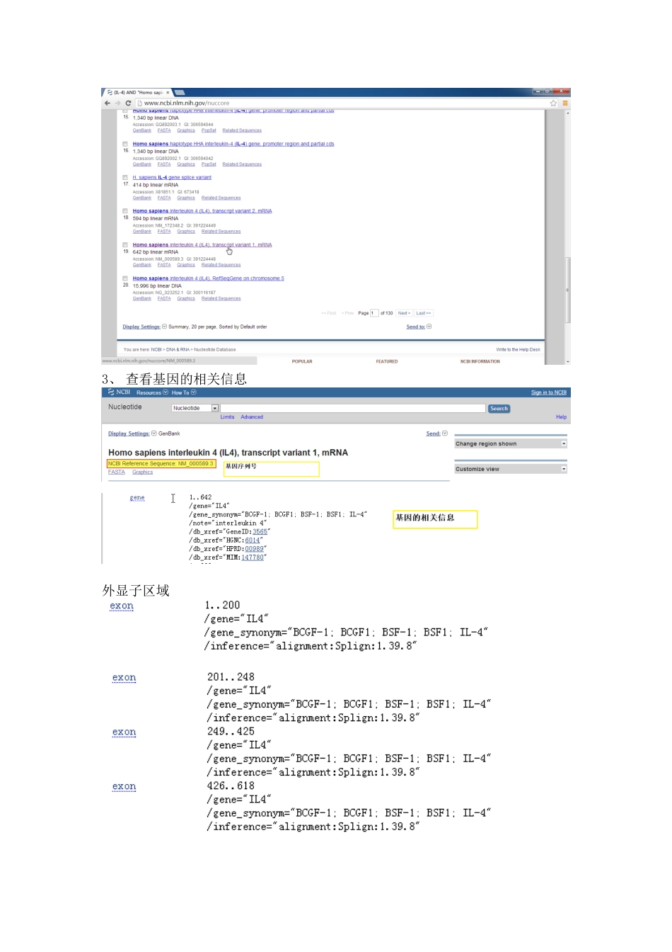 PCR引物流程设计详解_第2页