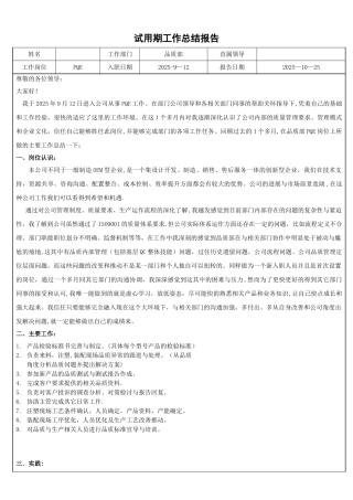 PQE试用期工作总结报告