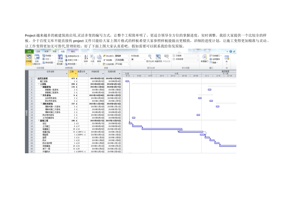 project进度计划高层版标准版_第1页