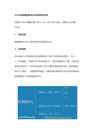 RNA的琼脂糖凝胶电泳实验原理和步骤