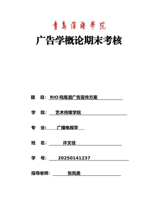 RIO鸡尾酒广告宣传方案