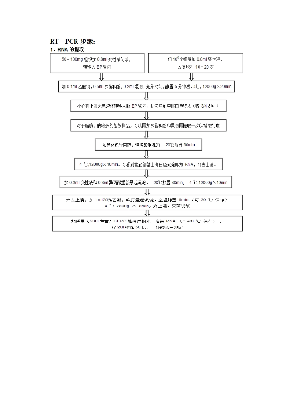 RT-PCR原理和实验步骤_第3页