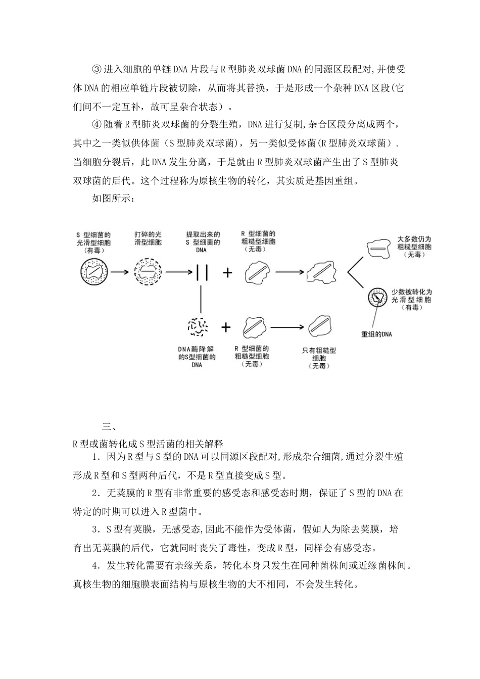 R型细菌转化成S型细菌的关键点分析_第2页