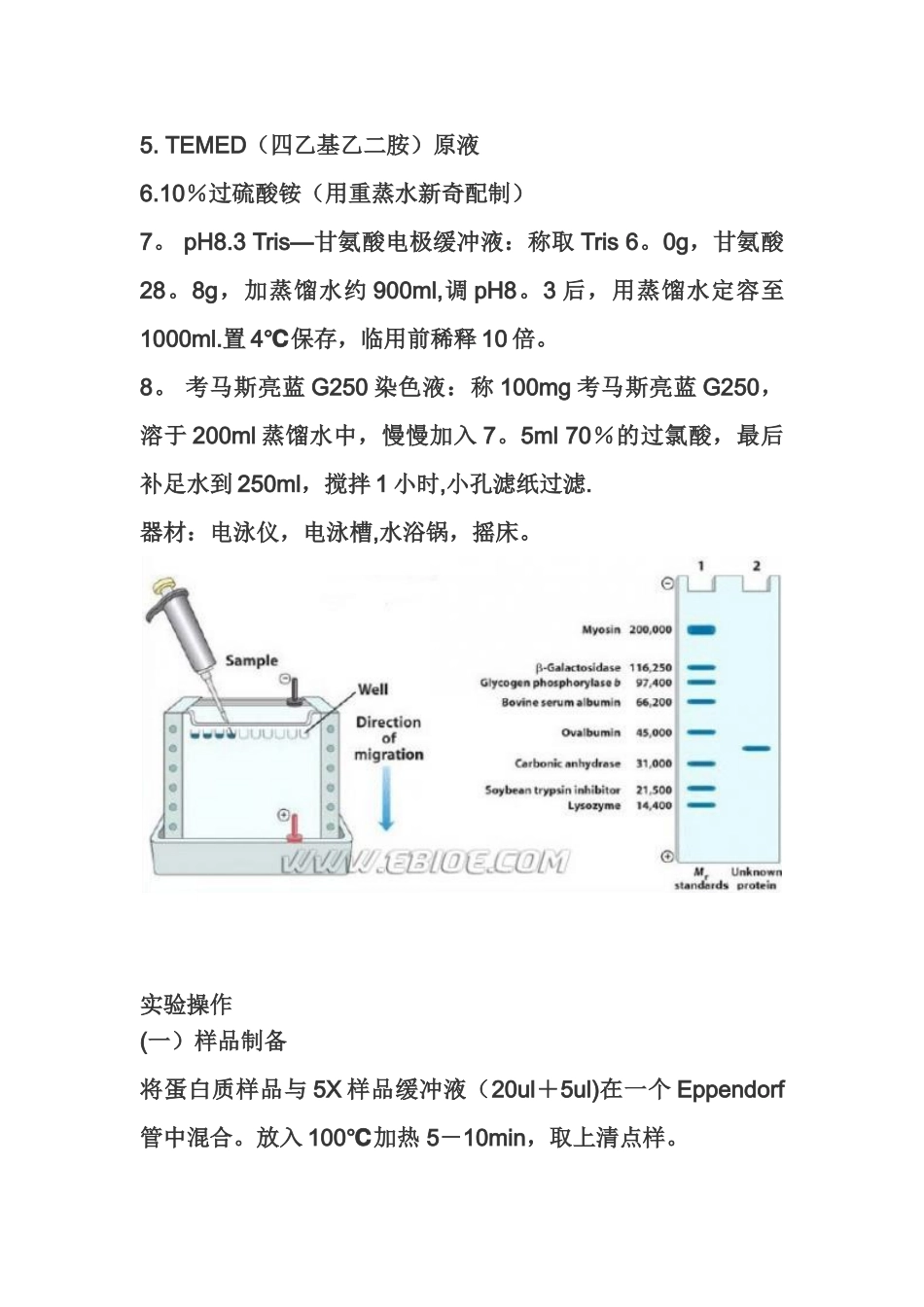 SDS-聚丙烯酰胺凝胶电泳实验原理和操作步骤_第2页