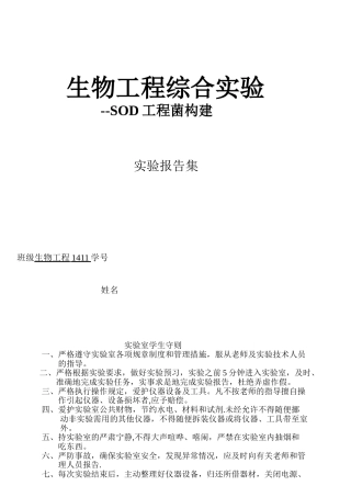 SOD工程菌的构建实验报告