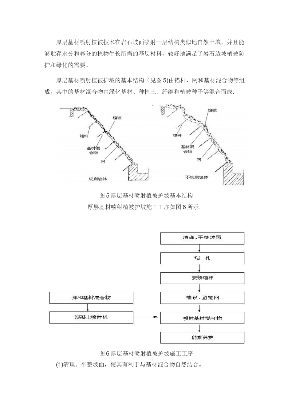 TBS植物护坡施工方案_第3页