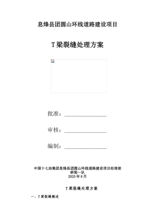 T梁裂缝处理方案