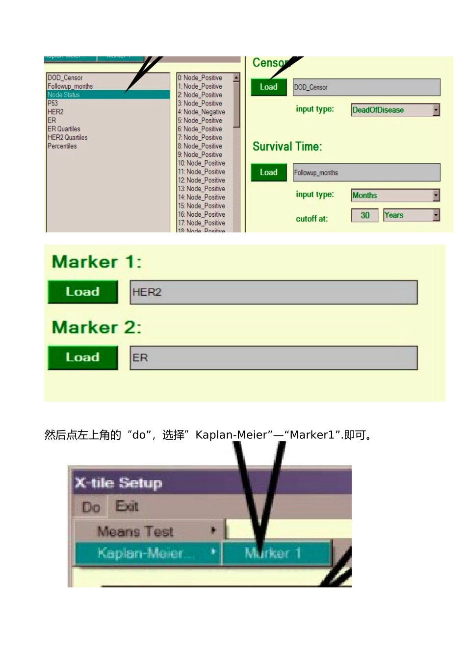 X-tile-软件的操作流程_第3页