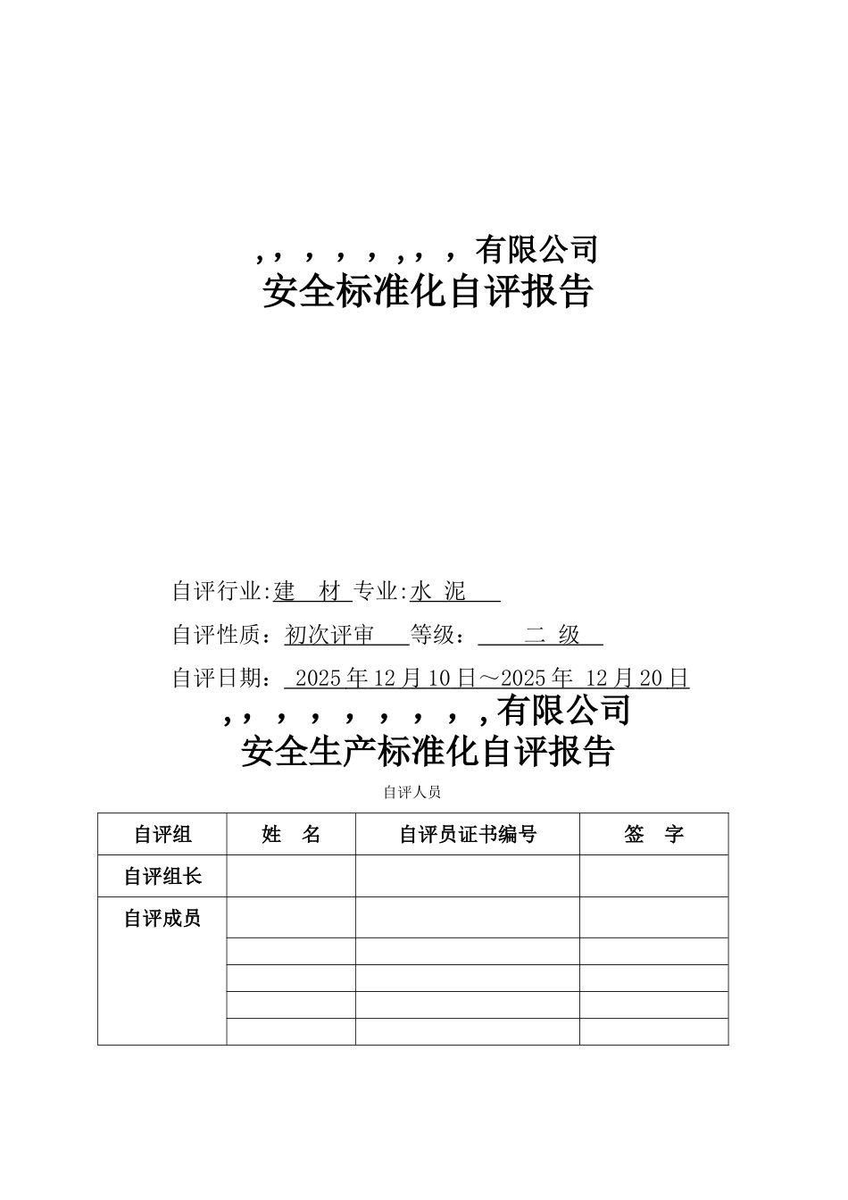 XXXXXX有限公司安全标准化自评报告_第1页