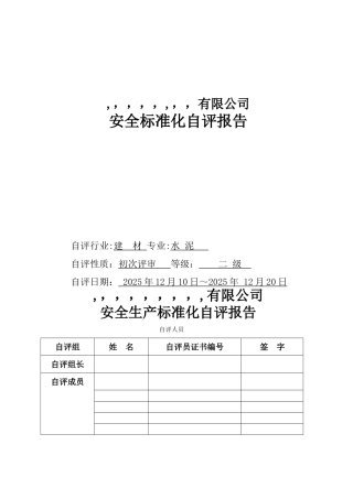 XXXXXX有限公司安全标准化自评报告