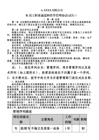 XXXX有限公司员工职业通道和晋升管理办法
