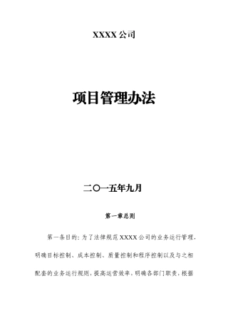 XXXX有限公司项目管理办法