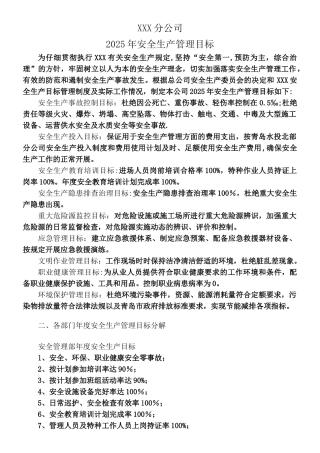 XXX分公司2025年安全生产管理目标
