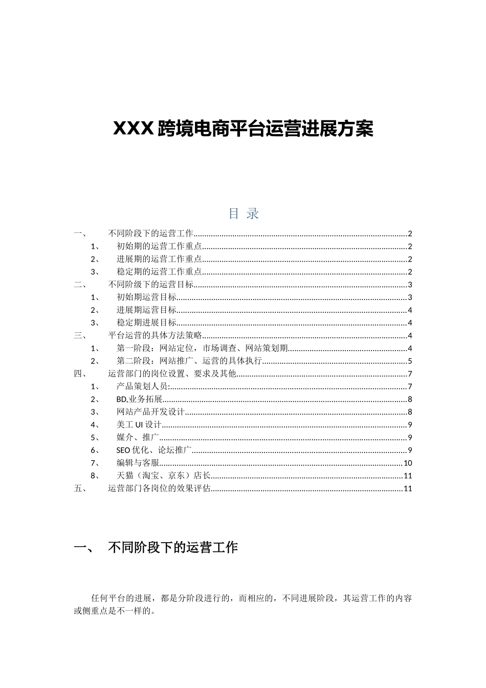 XXX跨境电商平台运营发展方案_第1页