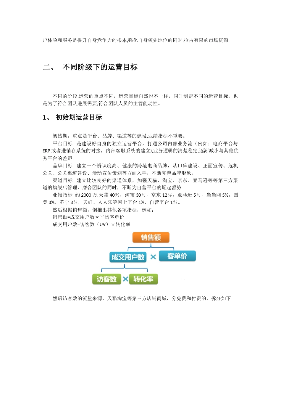 XXX跨境电商平台运营发展方案_第3页