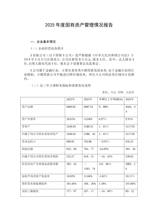 xx公司2025年度国有资产管理情况报告