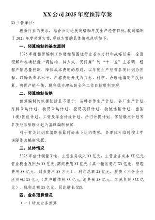 XX公司2025年预算编制方案
