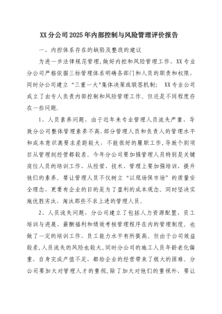 XX公司内部控制与风险管理报告