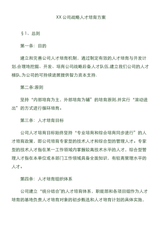 XX公司战略人才培养方案