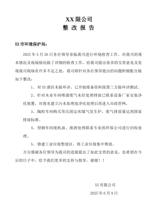 XX公司环保检查整改报告