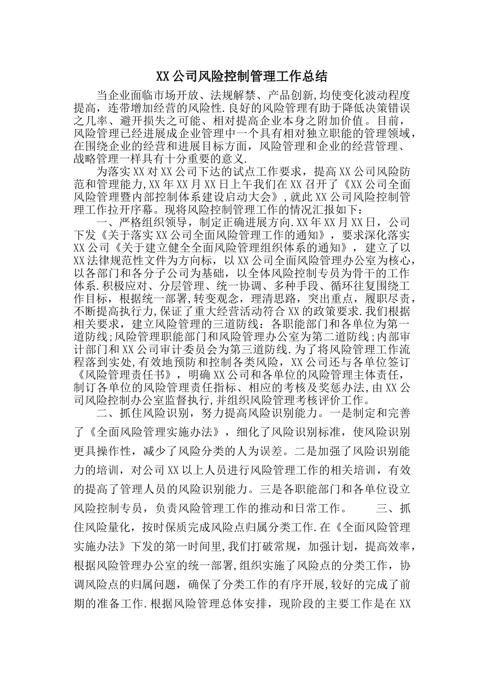 XX公司风险控制管理工作总结_第1页