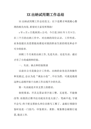 XX出纳试用期工作总结