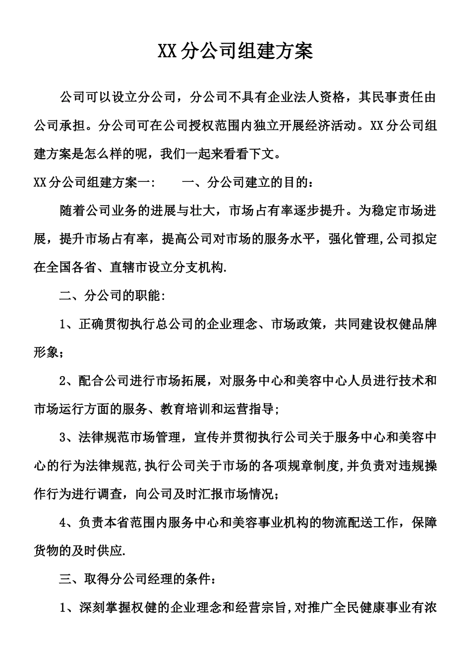 XX分公司组建方案_第1页