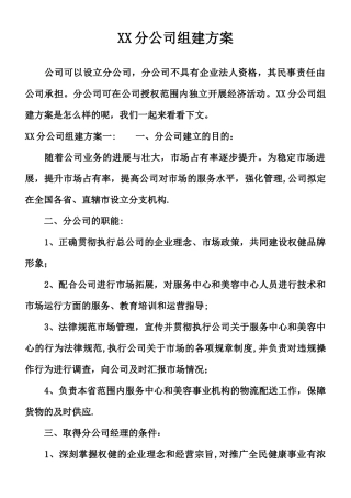 XX分公司组建方案