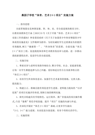 XX小学体艺2+1活动方案