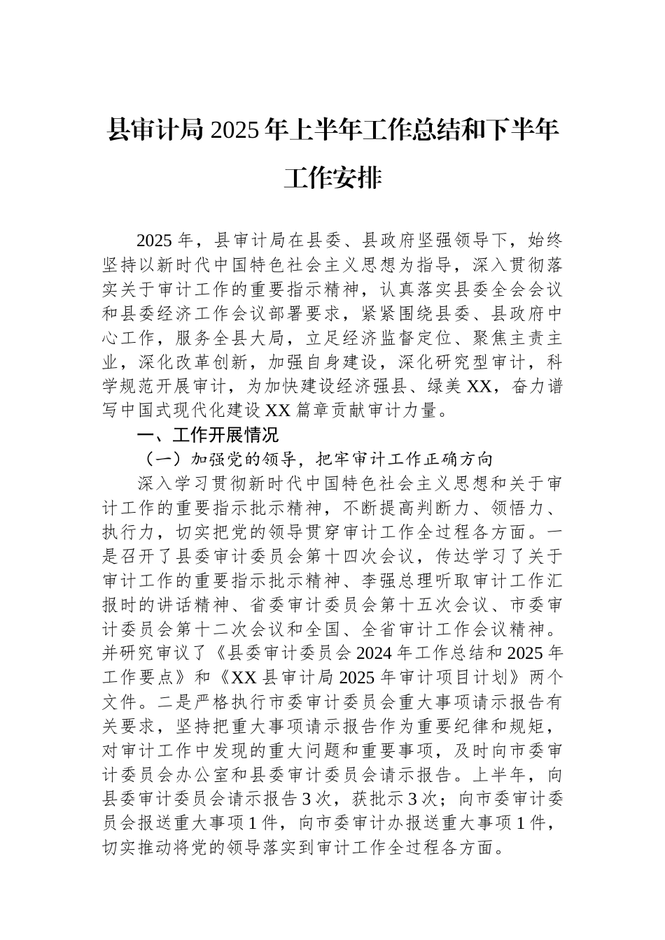 县审计局2025年上半年工作总结和下半年工作安排_第1页