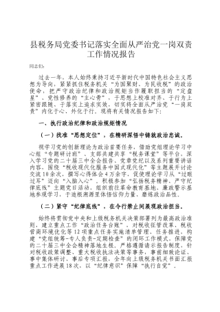 县税务局党委书记落实全面从严治党一岗双责工作情况报告