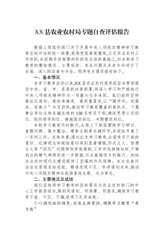 XX县农业农村局专题自查评估报告