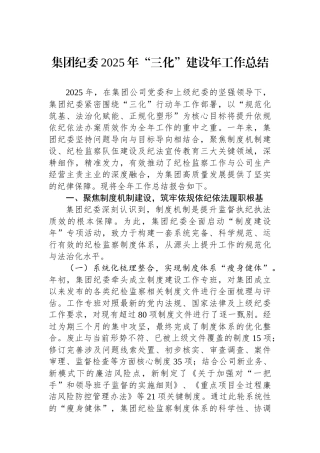集团纪委2025年“三化”建设年工作总结