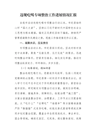 市纪委违规吃喝专项整治工作进展情况总结汇报
