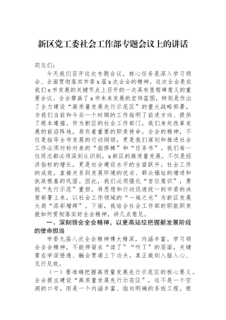 新区党工委社会工作部专题会议上的讲话