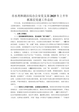市水利和湖泊局办公室党支部2025年上半年抓基层党建工作总结