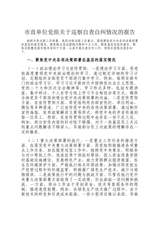 市直单位党组关于巡察自查自纠情况的报告