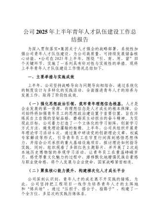 公司2025年上半年青年人才队伍建设工作总结报告