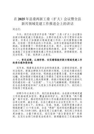 在2025年县委两新工委（扩大）会议暨全县新兴领域党建工作推进会上的讲话