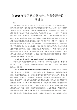 在2025年新区党工委社会工作部专题会议上的讲话