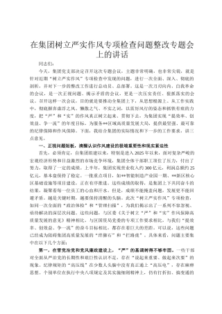 在集团树立严实作风专项检查问题整改专题会上的讲话