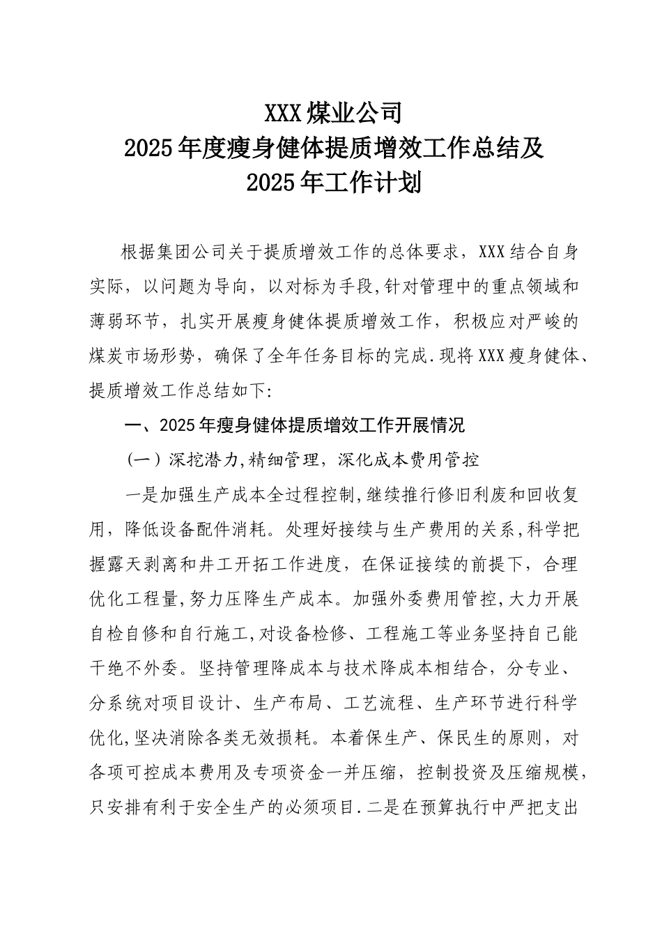 XXX公司2025年度提质增效工作总结及2025年工作计划_第1页