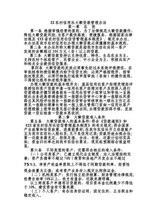 XX市农村信用社大额贷款管理暂行办法