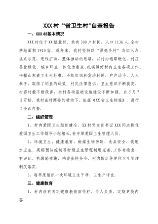 XX村“省卫生村”自查报告