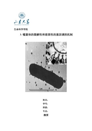 λ噬菌体的裂解性和溶原性