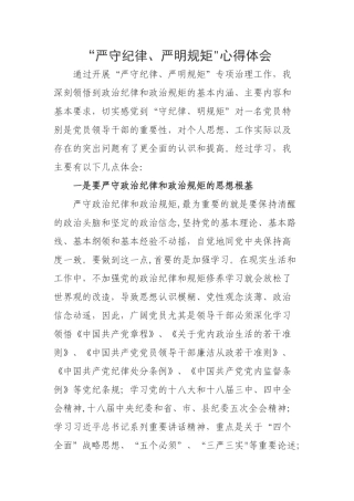 “严守纪律、严明规矩”心得体会