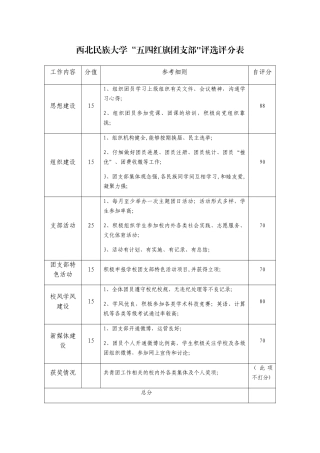 “五四红旗团支部”评选评分表