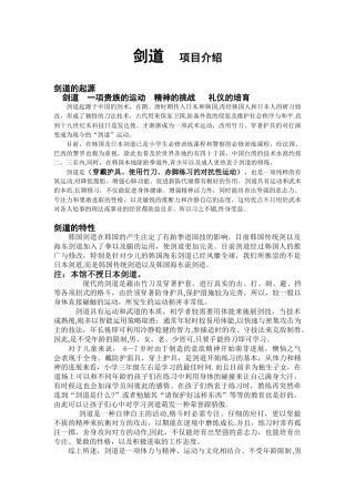 “剑道”项目推广方案