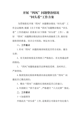 “回头看”工作方案