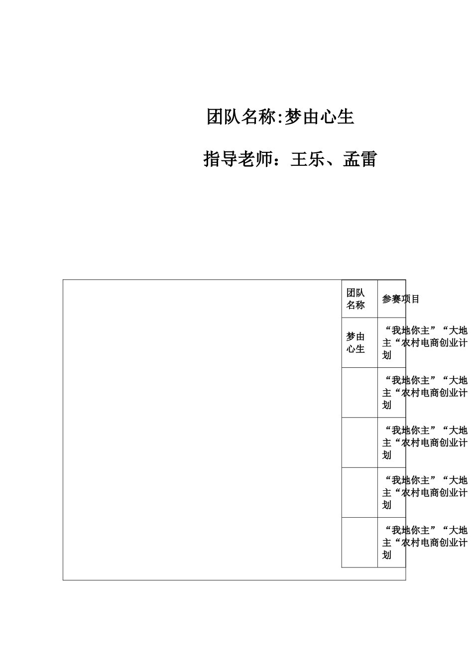 “大地主”农村电商创业计划书_第2页